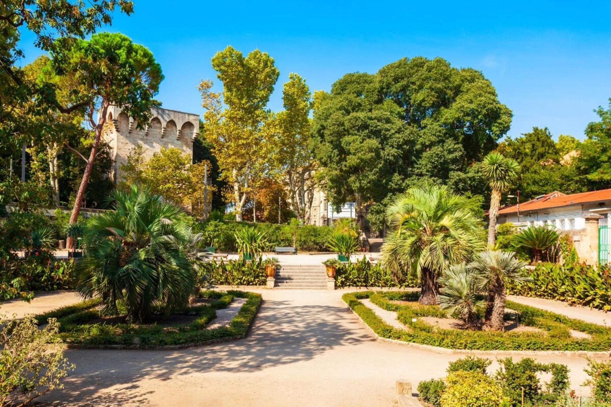 Le Triompha Montpellier Proche Arc De Triomphe Daire Dış mekan fotoğraf